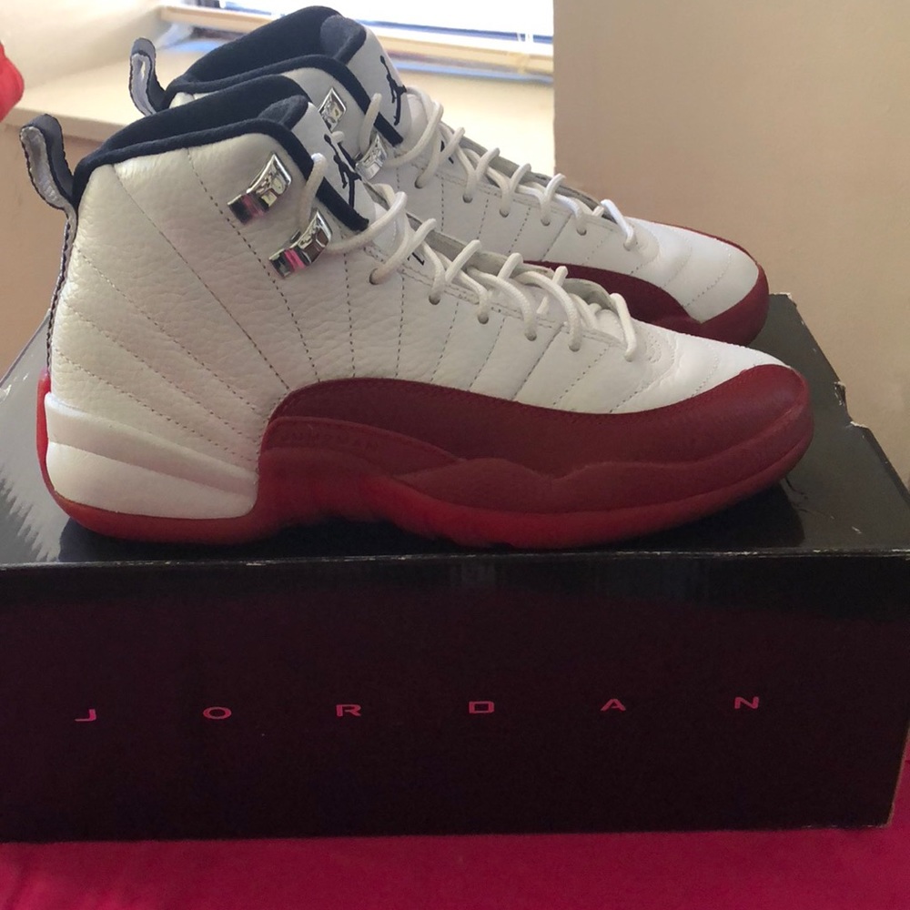 Air Jordan 12